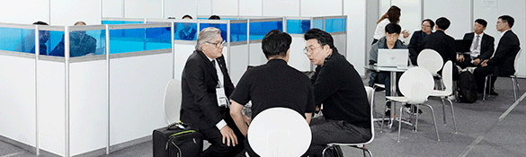 시범 빛 곡예 비행